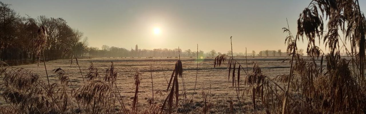 Natur und Heilung